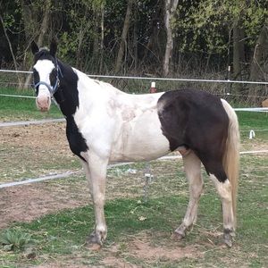 Meet your Posher, Carrie